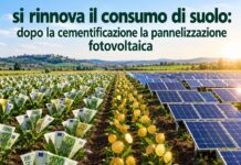 Ripristinare la natura non è un’utopia: L’inganno fotovoltaico